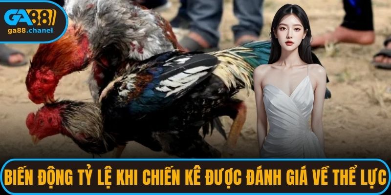 Biến động tỷ lệ khi các chiến kê được đánh giá về thể lực
